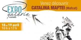 Cătălina Maftei: Pictura tradițională japoneză sumi-e. Sensuri și valențe ale cotidianului într-o expoziție AAPARS