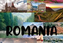 Pierre-Luc Dumesnil: „Este ciudat cum viața ne ghidează destinul uneori, cum simplul act de a vinde legume a reușit să mă facă să vizitez România”
