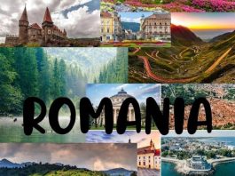 Pierre-Luc Dumesnil: „Este ciudat cum viața ne ghidează destinul uneori, cum simplul act de a vinde legume a reușit să mă facă să vizitez România”