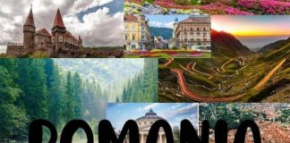 Pierre-Luc Dumesnil: „Este ciudat cum viața ne ghidează destinul uneori, cum simplul act de a vinde legume a reușit să mă facă să vizitez România”