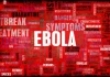 Virusul Hanta, Ebola și politica