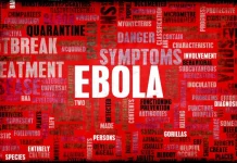 Virusul Hanta, Ebola și politica