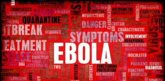 Virusul Hanta, Ebola și politica