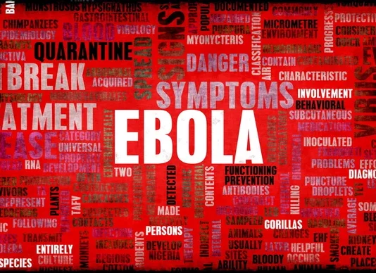 Virusul Hanta, Ebola și politica