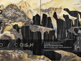 Nano/Cosm în viziunea lui Costin Tuță. Universul pictural al artistului de origine română, expus la Saint-Jean-sur-Richelieu