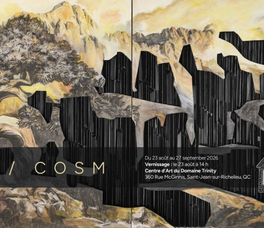 Nano/Cosm în viziunea lui Costin Tuță. Universul pictural al artistului de origine română, expus la Saint-Jean-sur-Richelieu