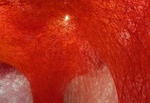 „The Soul Trembles”: Cea mai amplă expoziție consacrată artistei Chiharu Shiota ajunge la Montreal